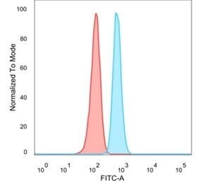 Serum Response Factor SRF Antibody (PCRP-SRF-1F1) - Azide and BSA Free Flow Cytometry: Serum Response Factor SRF Antibody (PCRP-SRF-1F1) - Azide and BSA Free [NBP3-14187] -