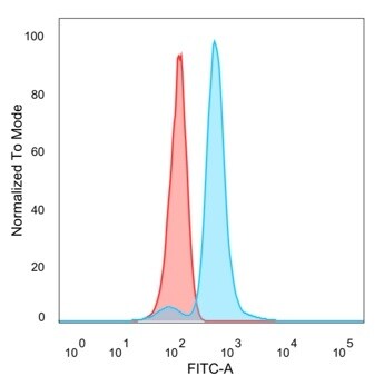 IRF9 Antibody (PCRP-IRF9-2F8) - Azide and BSA Free Flow Cytometry: IRF9 Antibody (PCRP-IRF9-2F8) - Azide and BSA Free [NBP3-14228] -