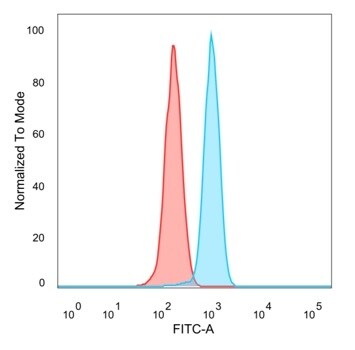 ZHX3 Antibody (PCRP-ZHX3-1G3) - Azide and BSA Free Flow Cytometry: ZHX3 Antibody (PCRP-ZHX3-1G3) - Azide and BSA Free [NBP3-14230] -