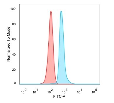 DMRT2 Antibody (PCRP-DMRT2-1B11) - Azide and BSA Free Flow Cytometry: DMRT2 Antibody (PCRP-DMRT2-1B11) - Azide and BSA Free [NBP3-14270] -