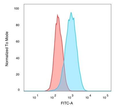 CUGBP2 Antibody (PCRP-CELF2-1E4) - Azide and BSA Free Immunocytochemistry/ Immunofluorescence: CUGBP2 Antibody (PCRP-CELF2-1E4) - Azide and BSA Free [NBP3-14271] -