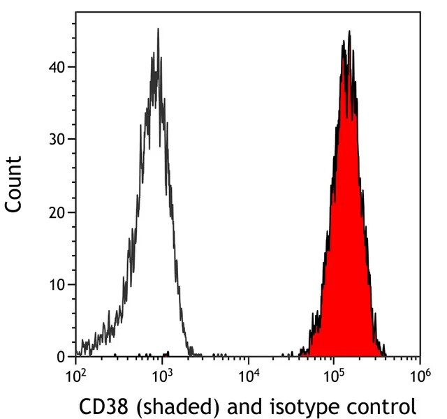 CD38 Antibody (BLR123H)
