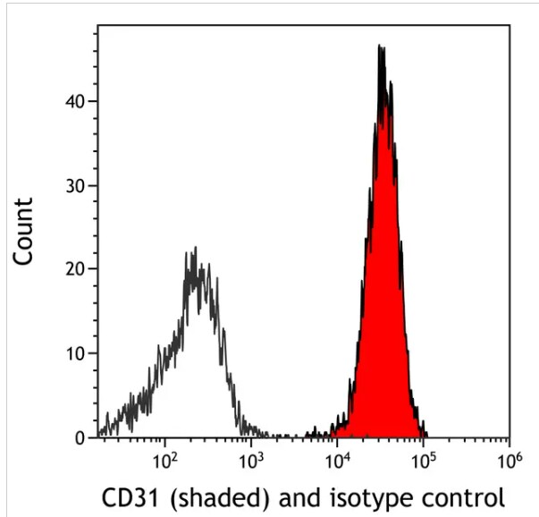 CD31/PECAM-1 Antibody (BLR127H)