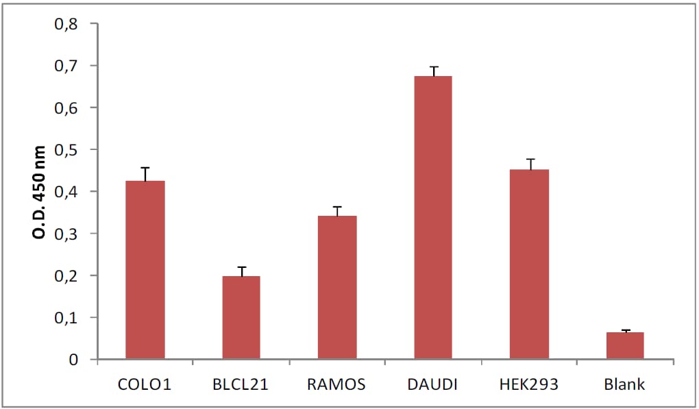 Immunoplate for glial derived exosome isolation (Colorimetric)