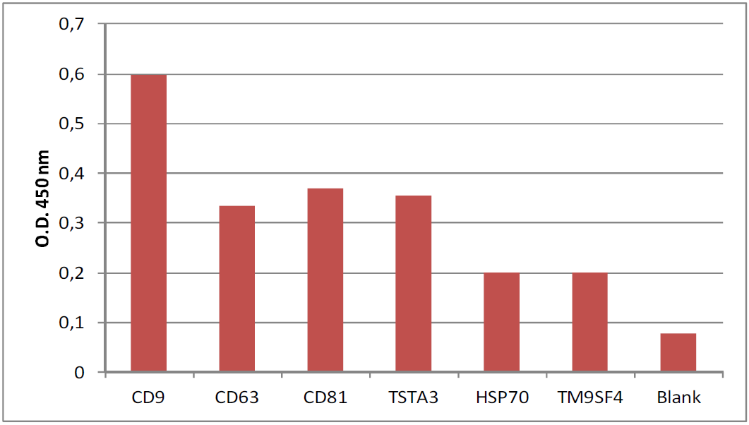 Immunoplate for neural derived exosome isolation (Colorimetric)