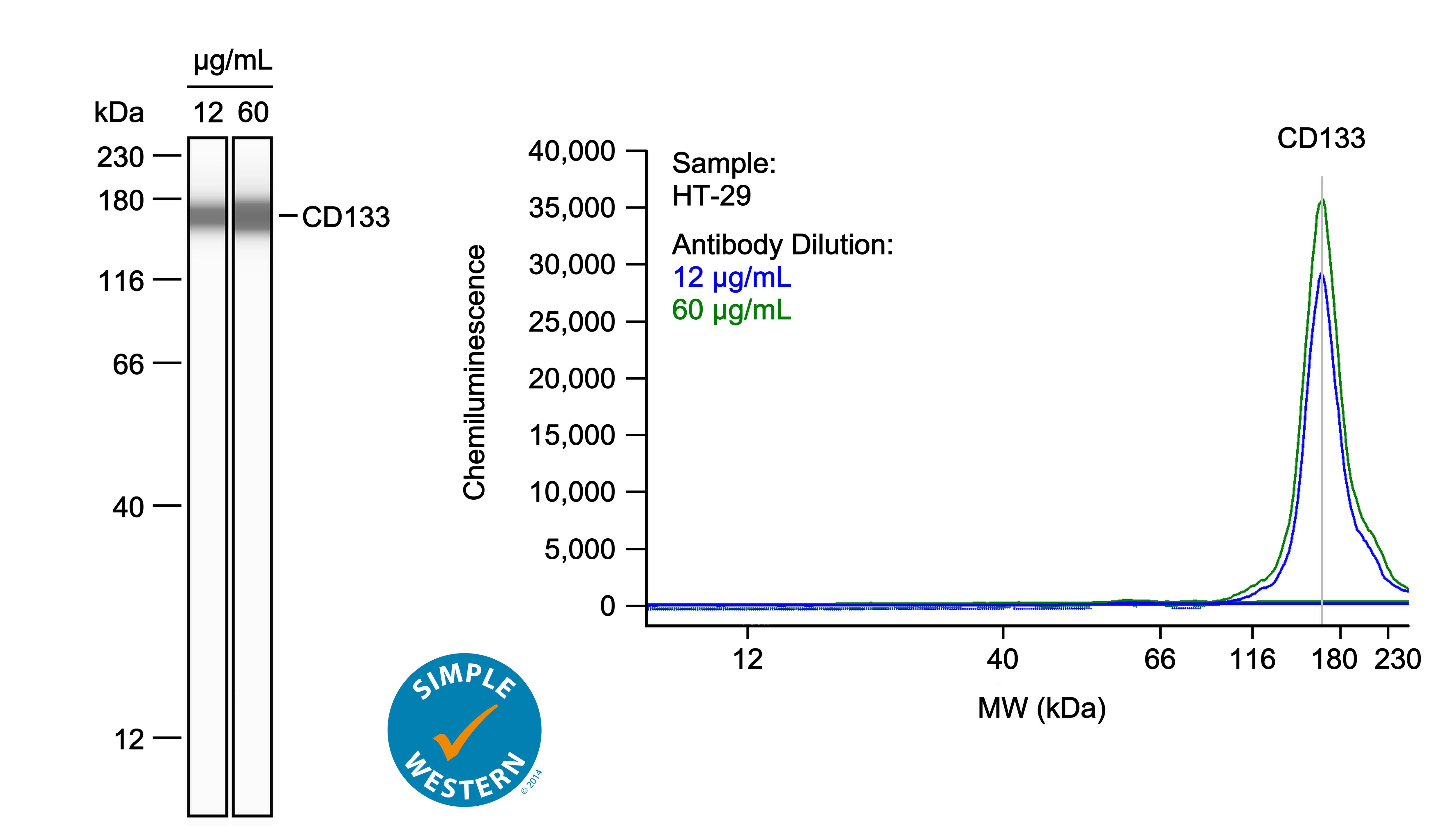 CD133 Antibody (3Y4A5)