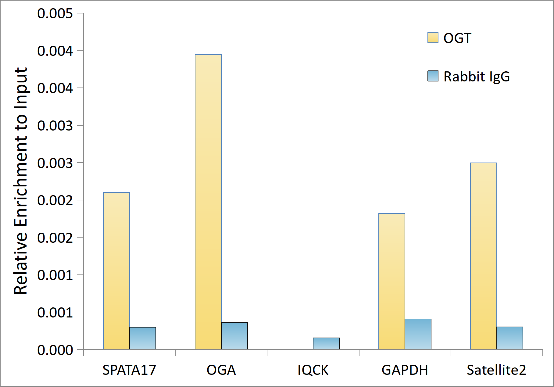O-GlcNAc Transferase p110 subunit Antibody (3Q9B8)