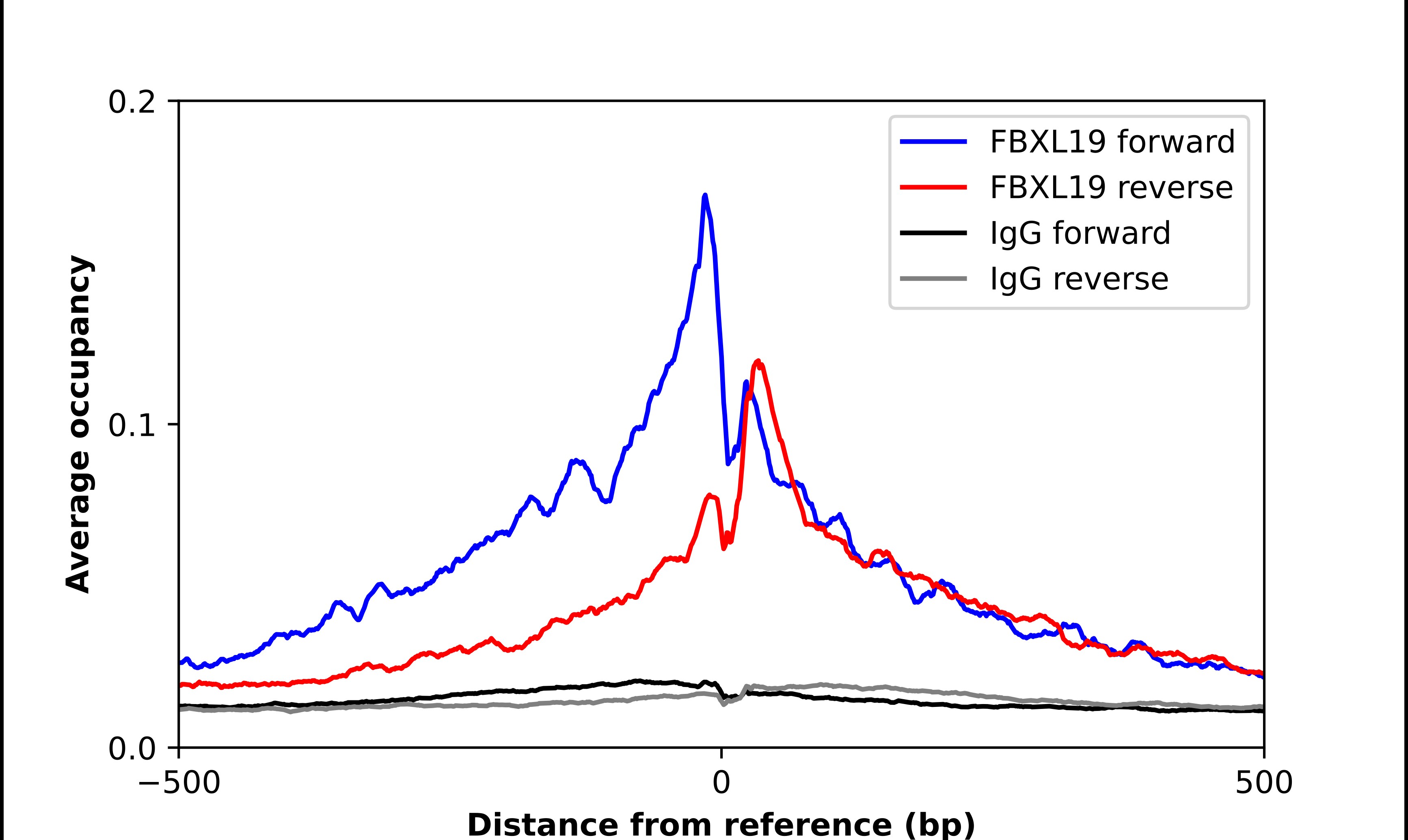 FBXL19 Antibody - BSA Free Chromatin Immunoprecipitation ChIP: FBXL19 Antibody - BSA Free