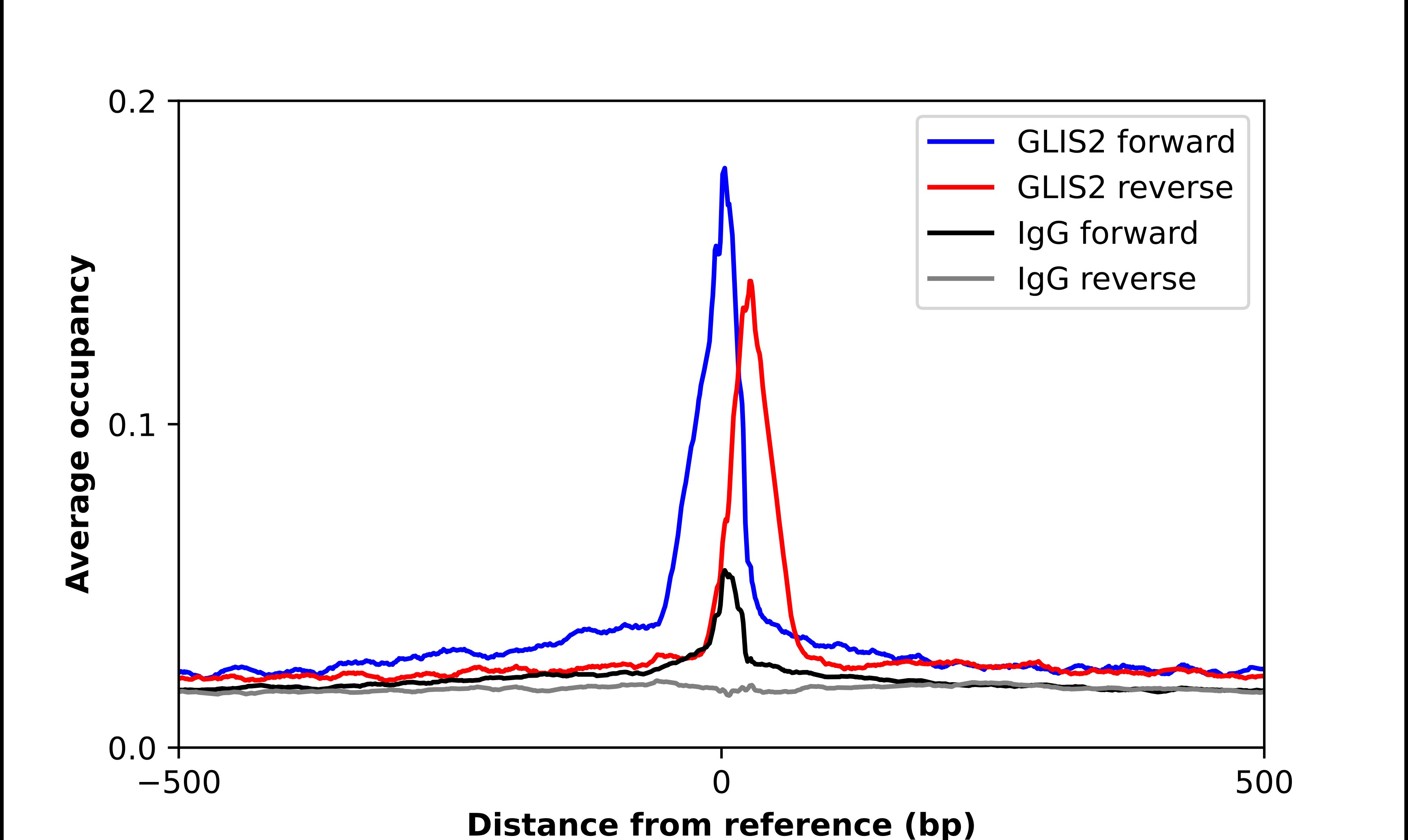 GliS2 Antibody - BSA Free Chromatin Immunoprecipitation ChIP: GliS2 Antibody - BSA Free