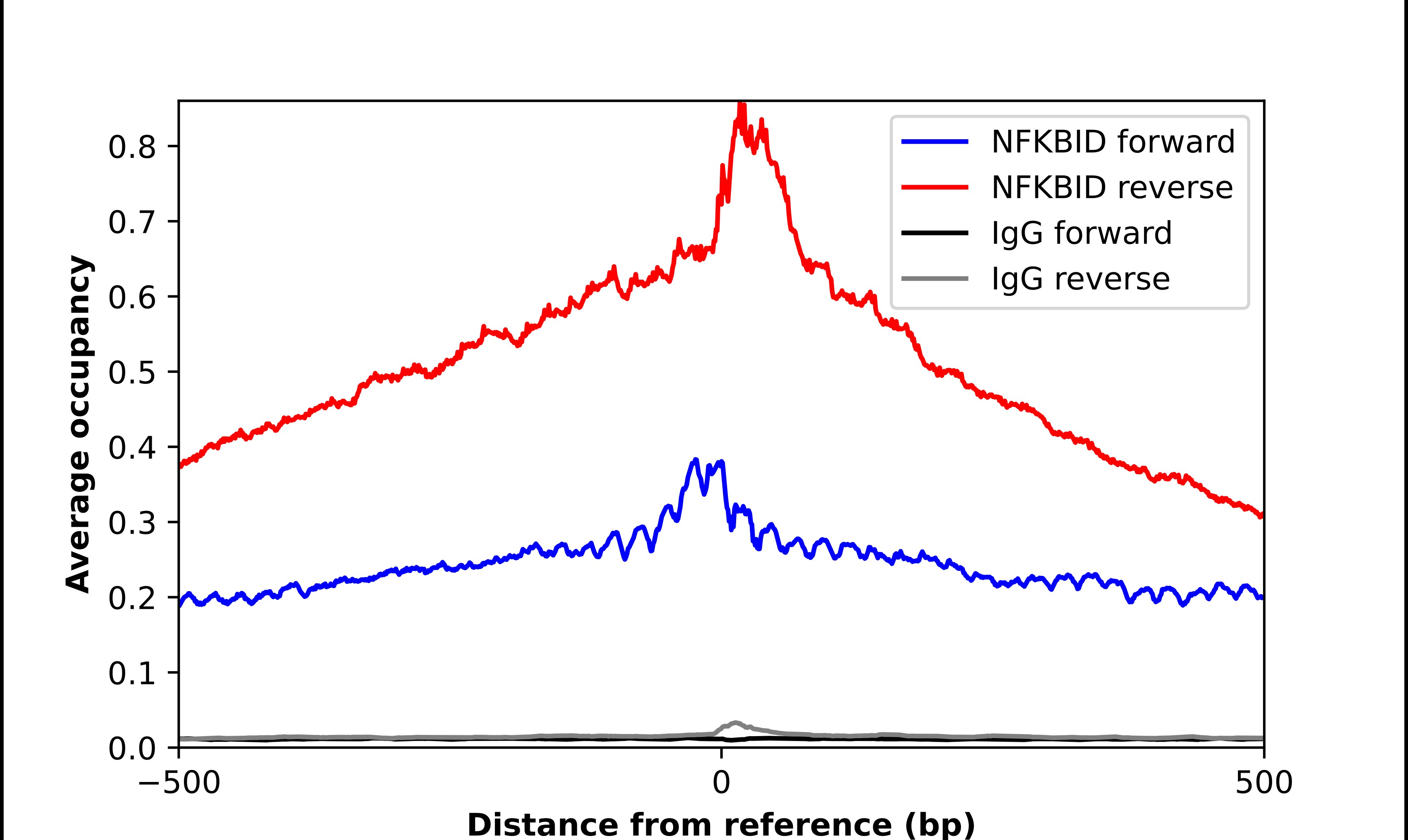 NFKBID Antibody - BSA Free Chromatin Immunoprecipitation ChIP: NFKBID Antibody - BSA Free