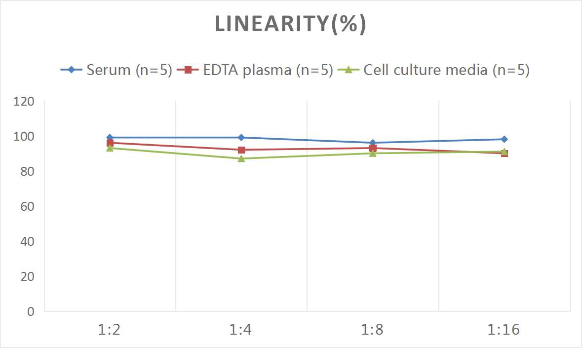 Rat M-CSF ELISA Kit (Colorimetric)