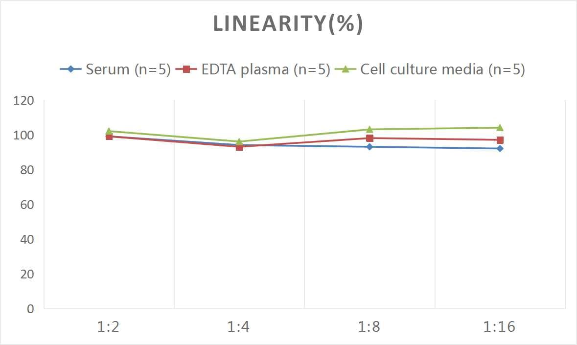 Mouse Oxidized LDL ELISA Kit (Colorimetric)