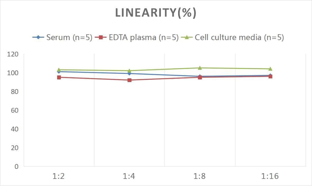 Monkey FGF-21 ELISA Kit (Colorimetric)