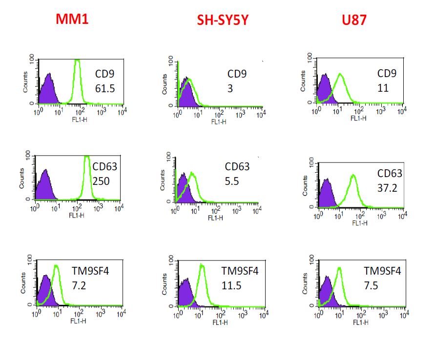 EV-FACS (Cell Culture Media) Flow Cytometry Kit