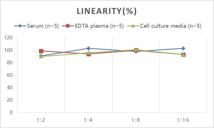 Rat MMP-8 ELISA Kit (Colorimetric)