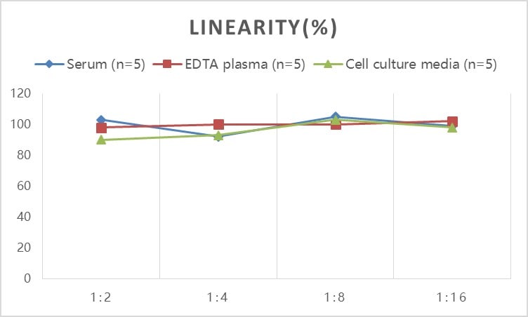Rat Procollagen type III N-terminal Propeptide ELISA Kit (Colorimetric)