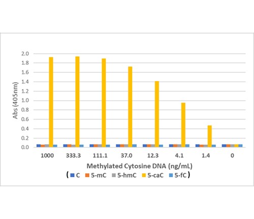 5-Carboxylcytosine Antibody (RM462)
