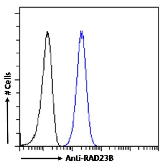 hHR23b Antibody (SAIC-28A-29) - Azide and BSA Free