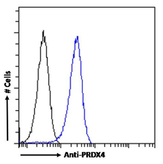 Peroxiredoxin 4 Antibody (SAIC-40A-24) - Azide and BSA Free