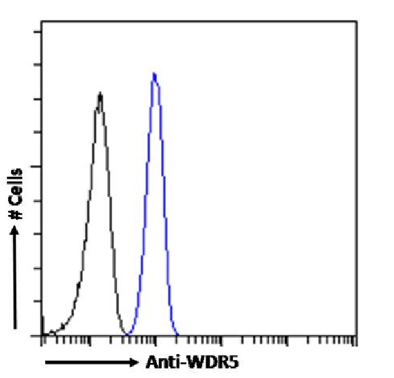 WDR5 Antibody (RAB-C223) - Chimeric - Azide and BSA Free