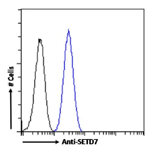 SETD7 Antibody (RAB-C220) - Chimeric - Azide and BSA Free