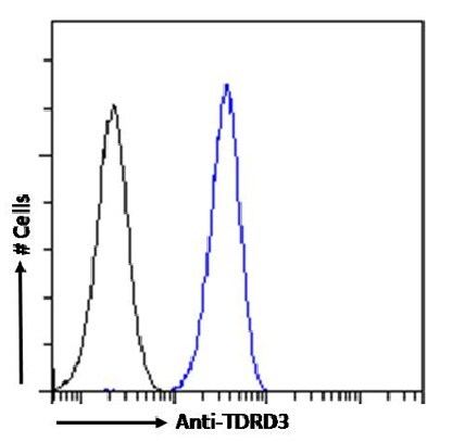 TDRD3 Antibody (RAB-C419) - Chimeric - Azide and BSA Free