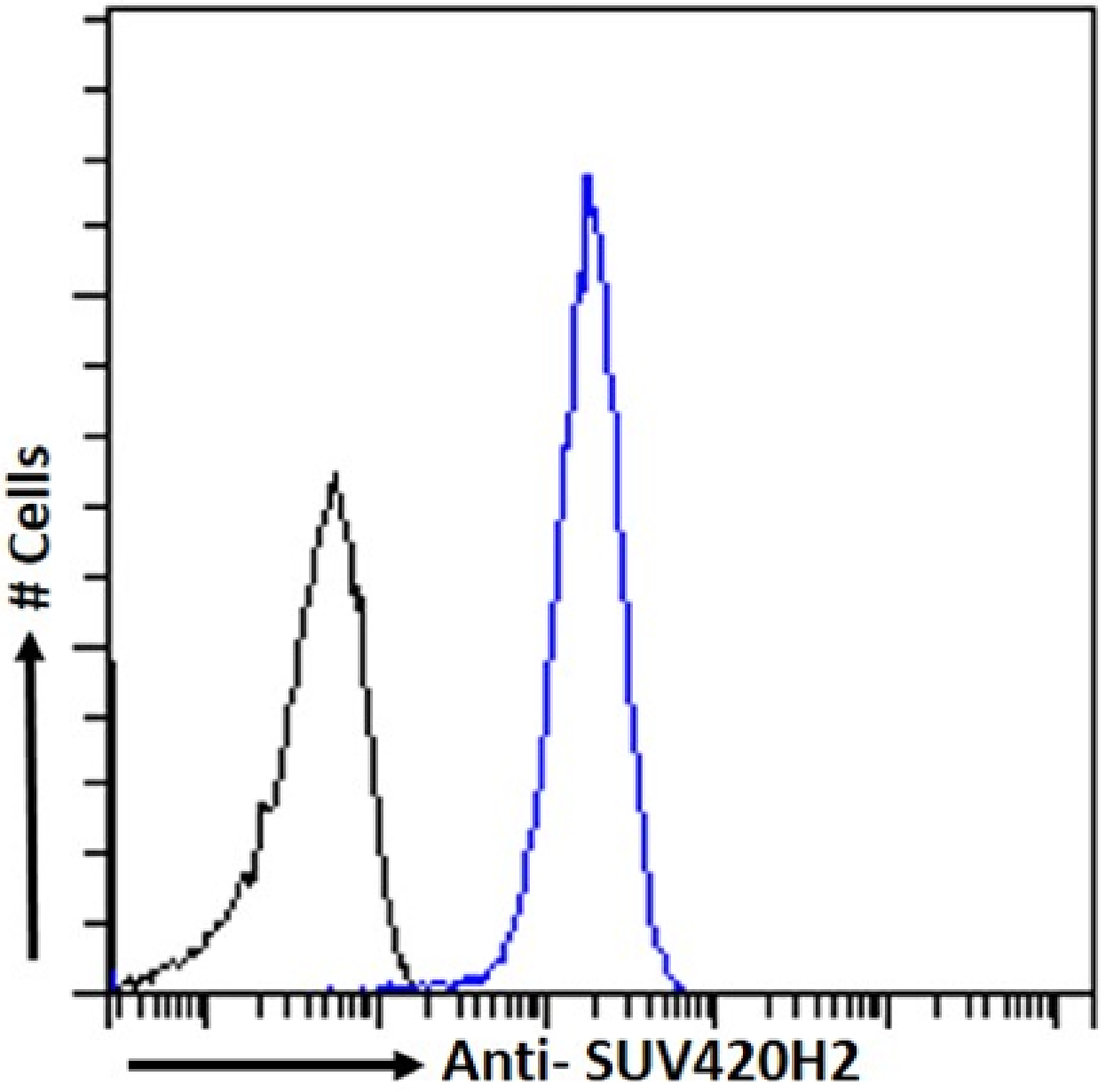 SUV420H2 Antibody (RAB-C409) - Chimeric - Azide and BSA Free
