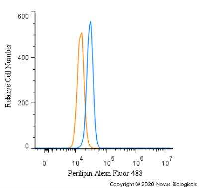 Adipogenesis Antibody Pack