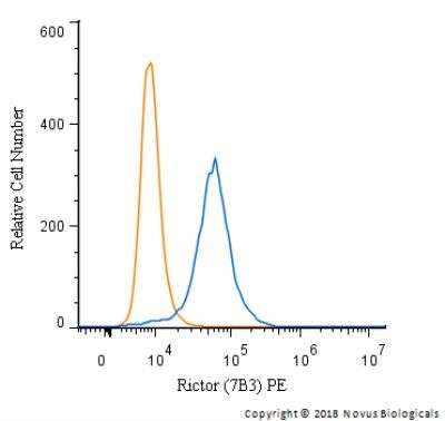 mTOR Pathway Antibody Pack