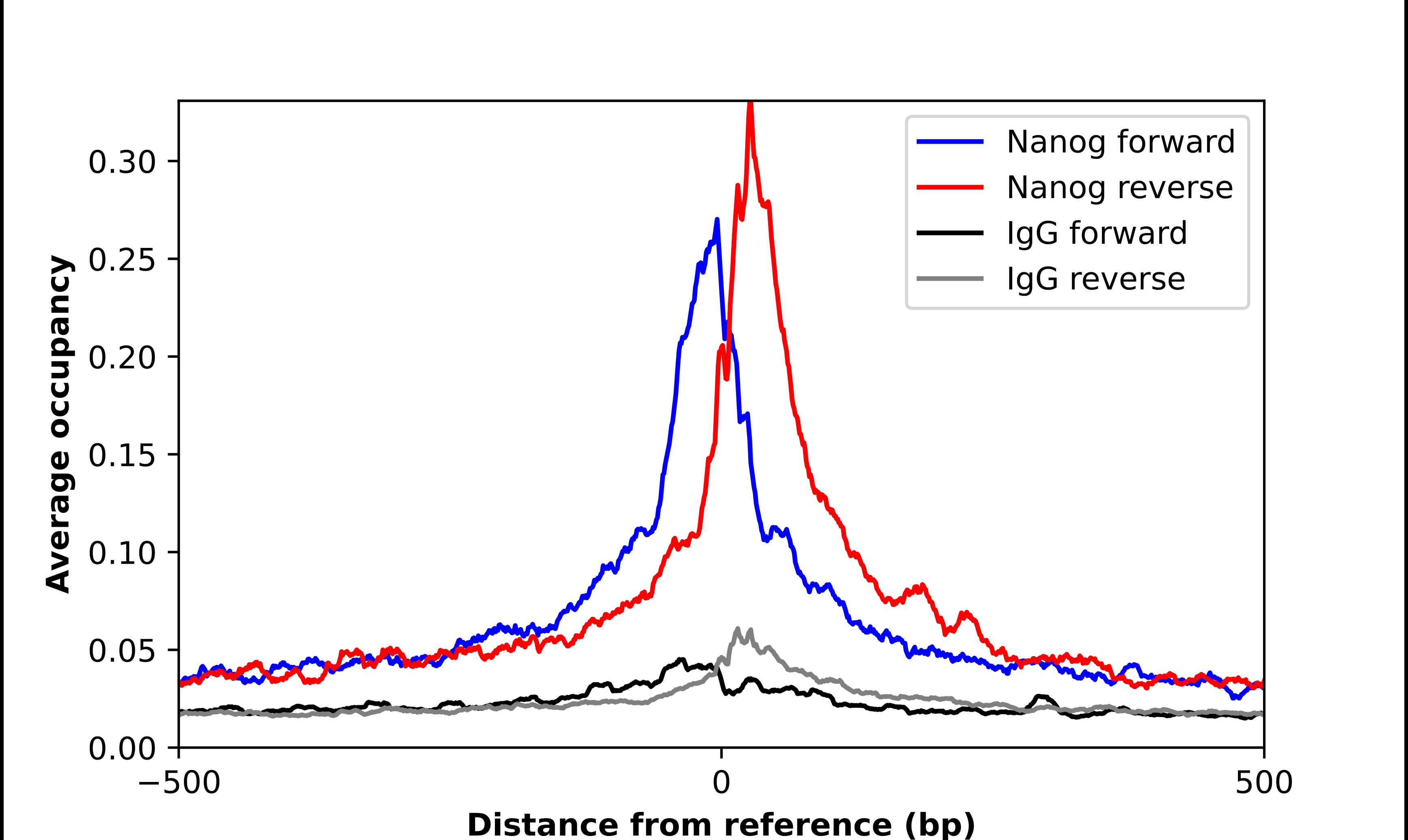 Nanog Antibody - BSA Free Chromatin Immunoprecipitation-exo-Seq: Nanog Antibody - BSA Free [NBP3-21353]