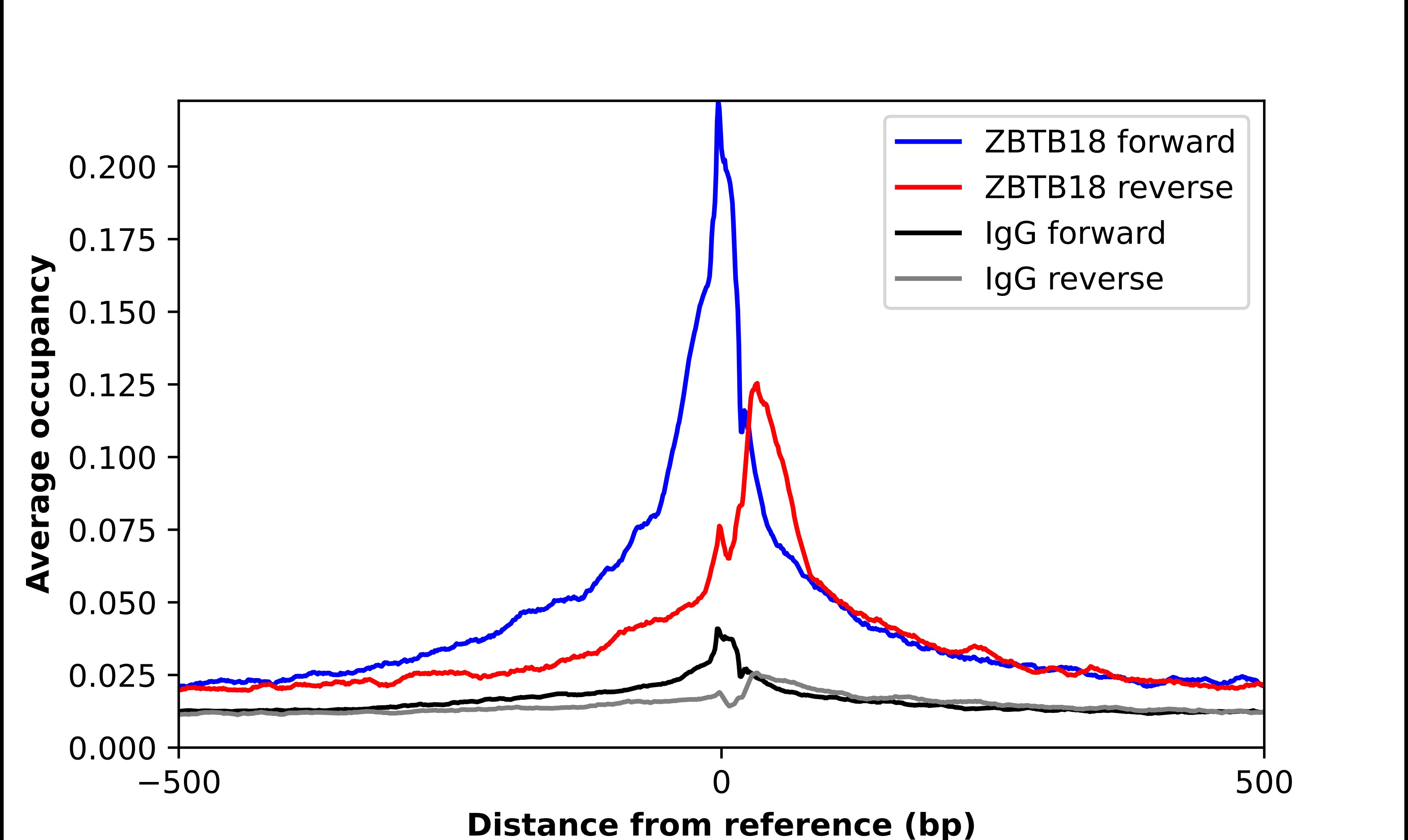 ZNF238 Antibody - BSA Free Chromatin Immunoprecipitation ChIP: ZNF238 Antibody - BSA Free