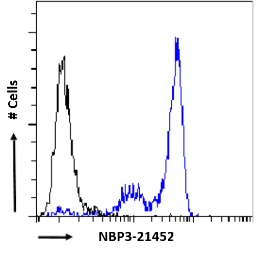 Fc gamma RIII (CD16) Antibody (3G8) - Chimeric - BSA Free