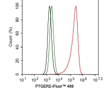 PTGER2 Antibody (SR1927) - BSA Free