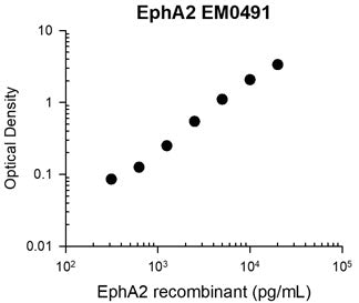 EphA2 Antibody (M049)