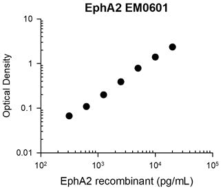 EphA2 Antibody (M060)