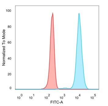 ZNF96 Antibody (PCRP-ZSCAN12-1A9)