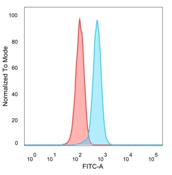 TFII-I Antibody (PCRP-GTF2I-1A7)