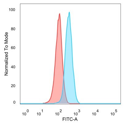 DBPA Antibody (PCRP-YBX3-2D12)