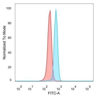 ZNF232 Antibody (PCRP-ZNF232-1D5) - Azide and BSA Free Flow Cytometry: ZNF232 Antibody (PCRP-ZNF232-1D5) - Azide and BSA Free [NBP3-24040] -