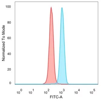 ZNF239 Antibody (PCRP-ZNF239-2A10) - Azide and BSA Free Flow Cytometry: ZNF239 Antibody (PCRP-ZNF239-2A10) - Azide and BSA Free [NBP3-24148] -