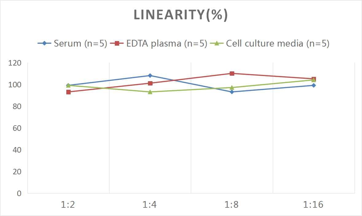 Human Defensin alpha 5 ELISA Kit (Chemiluminescence)