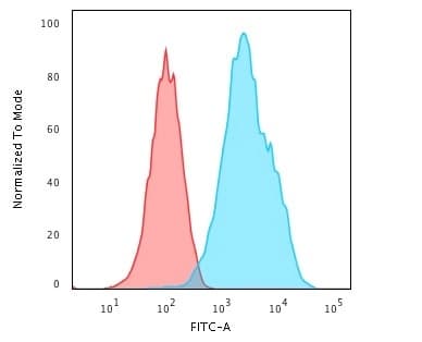 CD20 Antibody (L26)