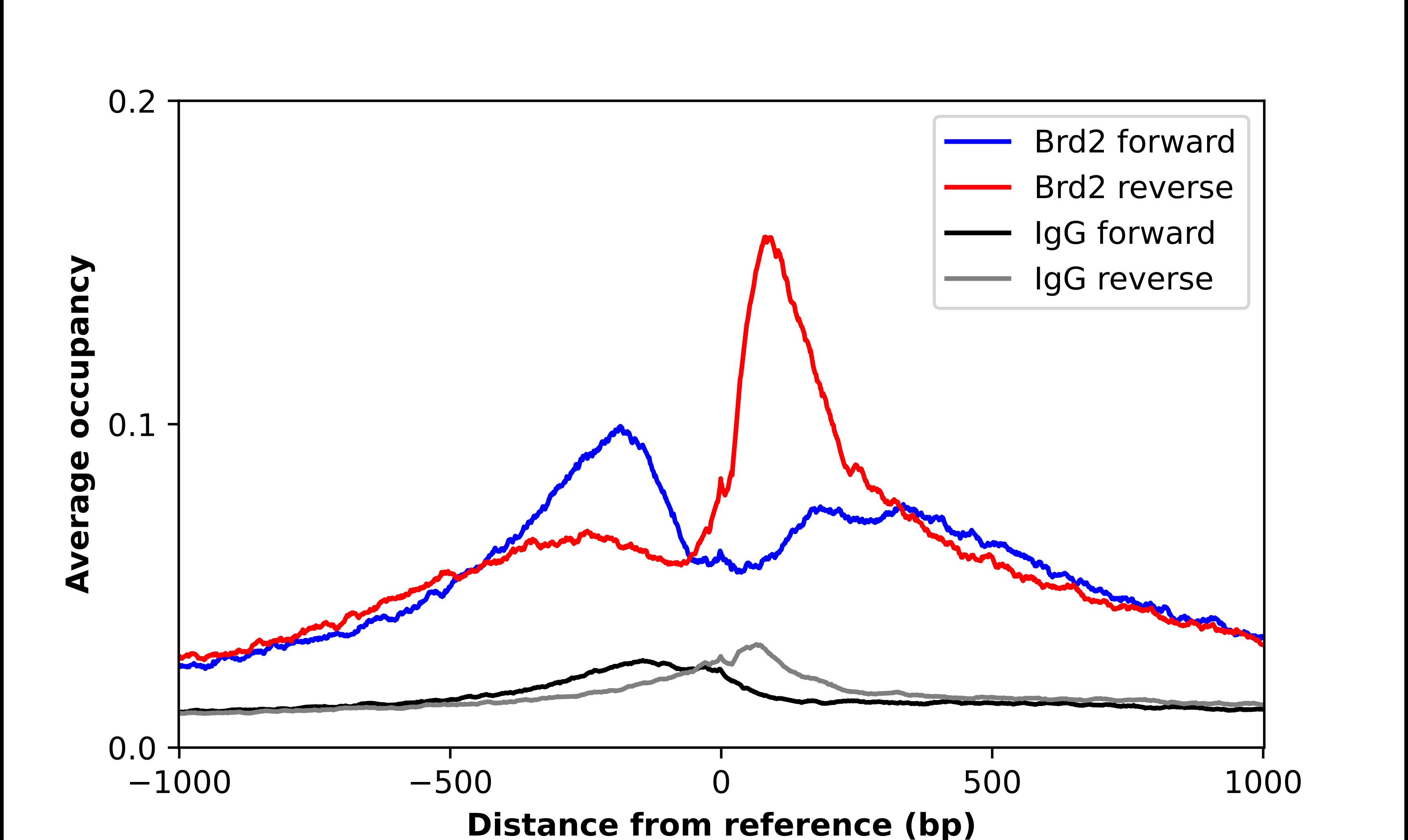 BRD2 Antibody - BSA Free Chromatin Immunoprecipitation-exo-Seq: BRD2 Antibody - BSA Free [NBP3-25302]