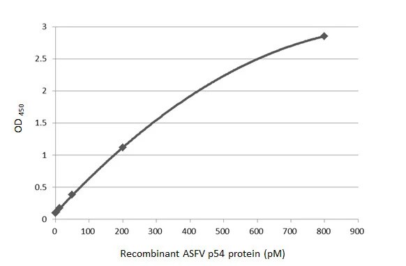 African Swine Fever Virus p54 Antibody (HL1286) - Azide and BSA Free