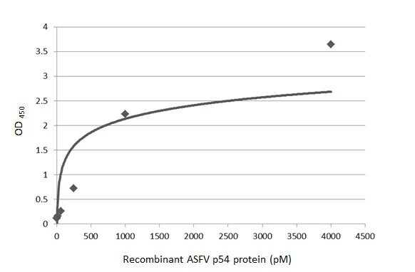 African Swine Fever Virus p54 Antibody (HL1287) - Azide and BSA Free