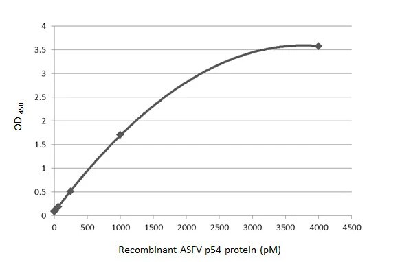 African Swine Fever Virus p54 Antibody (HL1289) - Azide and BSA Free
