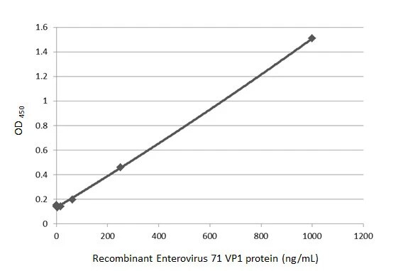 Enterovirus 71 VP1 Antibody (HL1929) - Azide and BSA Free