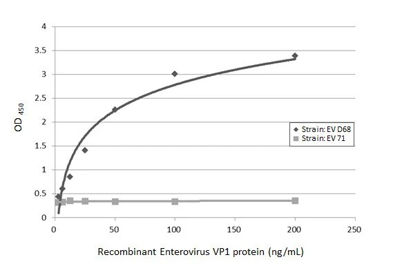 Enterovirus D68 VP1 Antibody (HL1997) - Azide and BSA Free