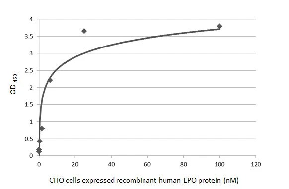 Erythropoietin/EPO Antibody (HL1793) - Azide and BSA Free