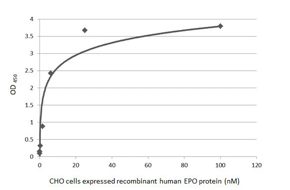 Erythropoietin/EPO Antibody (HL1794) - Azide and BSA Free